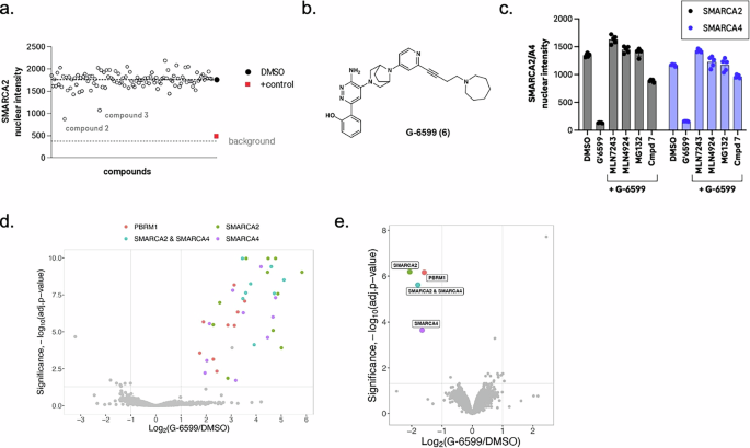 Fig. 1: Identification of monovalent degraders of SMARCA2/A4.