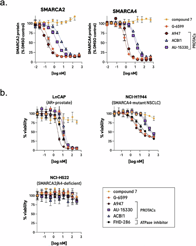 Fig. 2: Monovalent degrader, G-6599, exhibits comparable potency and cellular activity with SMARCA2/A4 PROTACs and ATPase inhibitors.