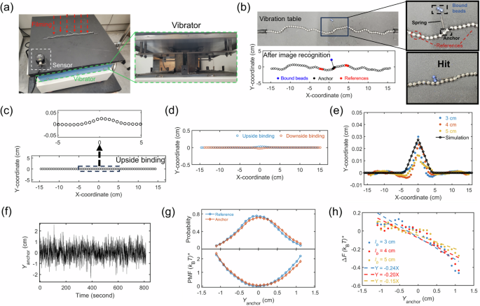 Fig. 2: Entropic pulling on a macroscopic chain.
