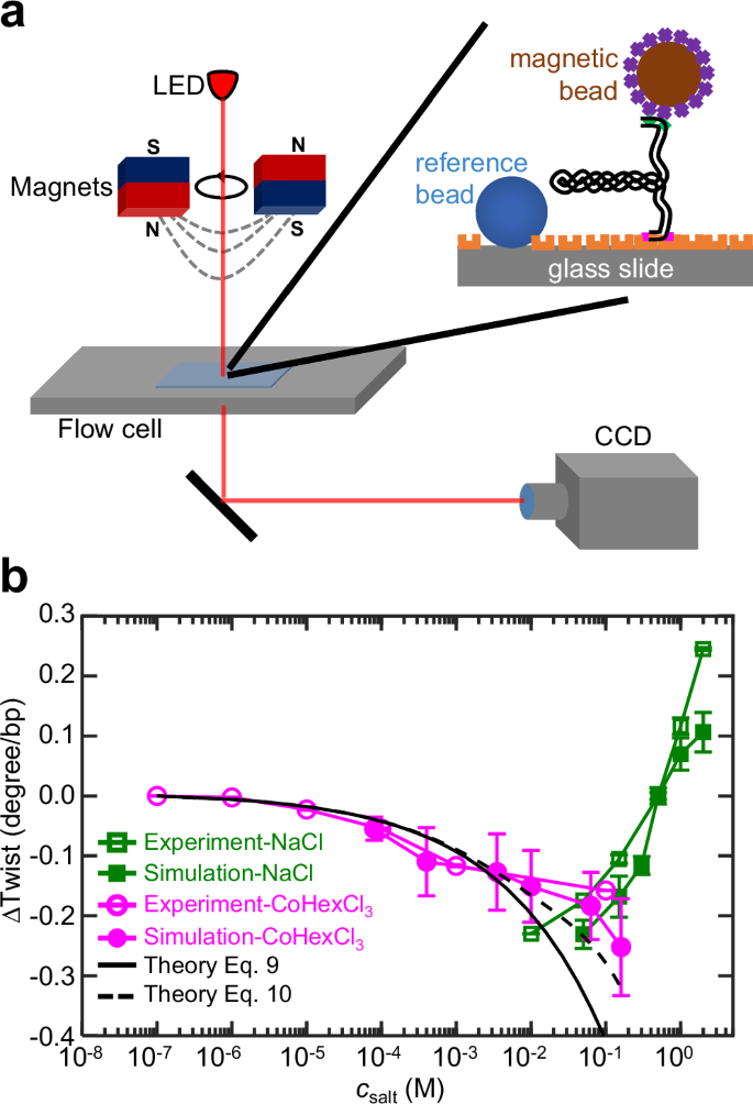 Fig. 3: Measurement of DNA twist changes induced by salt.