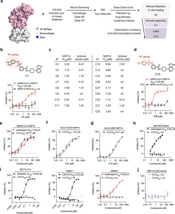 Fig. 1: Discovery and Characterization of Compound C10 Targeting NSP14 SAM-Binding Pocket.