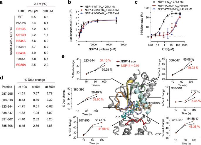 Fig. 4: The biochemical characterization and HDX-MS analysis of C10 binding to SARS-CoV-2 NSP14.