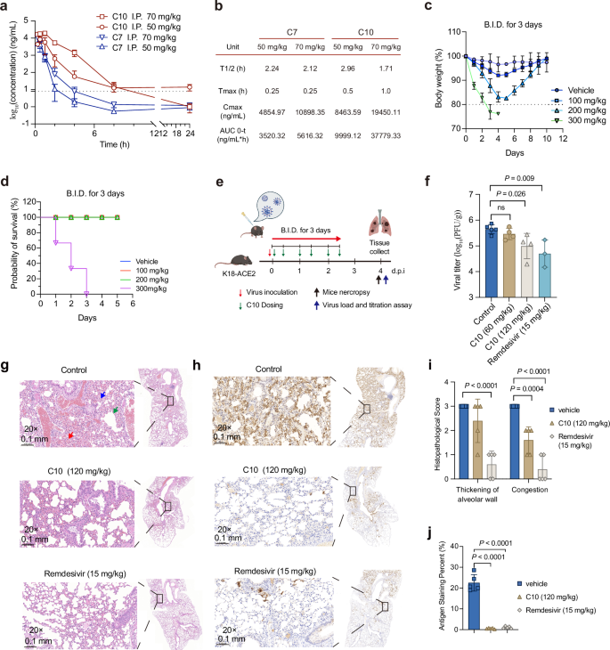 Fig. 8: Antiviral efficacy of C10 in a K18-hACE2 transgenic mouse model.