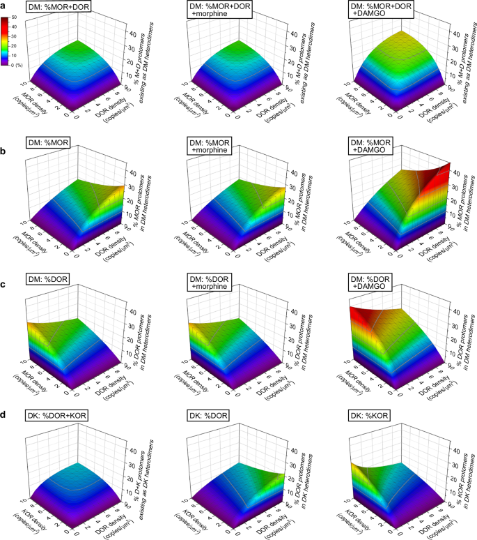 Fig. 7: The percentages of OR protomers existing as OR heterodimers at various expression levels (z-axis), predicted from the KD values for homo- and hetero-dimer dissociation equilibrium.