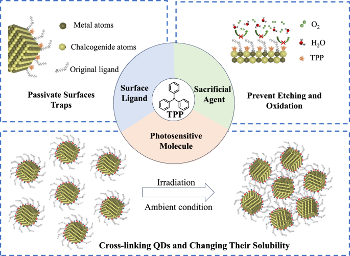 Fig. 1: Schematic illustration of the role of multifunctional molecules.