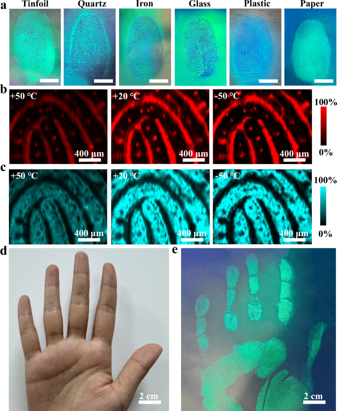 Fig. 4: Universality and stability characterization of NFIT.