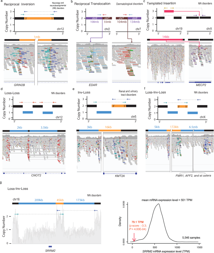 Fig. 2: Representative complex SVs disrupting potential causal genes.