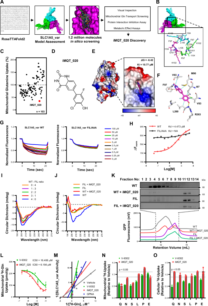 Fig. 1: iMQT_020 is an allosteric inhibitor of SLC1A5_var.