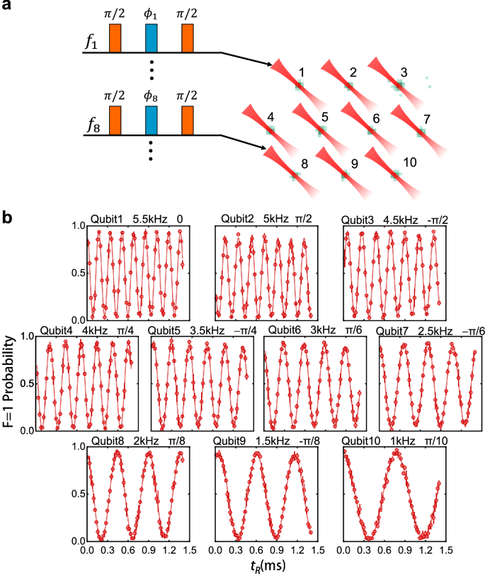 Fig. 3: Simultaneous Ramsey experiment on the entire array.