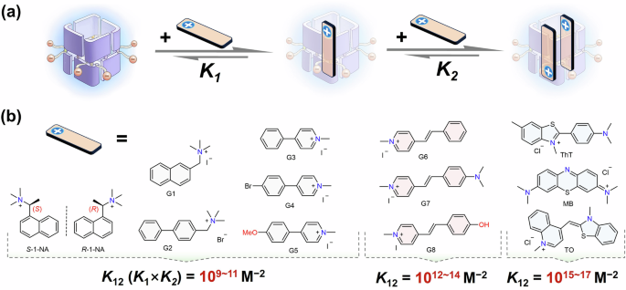 Fig. 2: Investigation of the 1:2 complexation behavior between R-C[4]B and selected analytes.