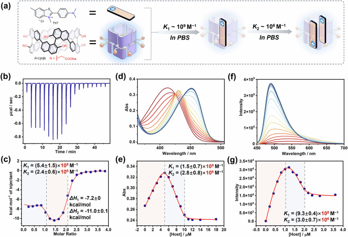Fig. 3: Investigation of the 1:2 complexation behavior between R-C[4]B and ThT in 10 mM PBS buffer solution.