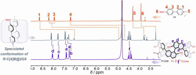 Fig. 4: 1H NMR spectra of host–guest complex.
