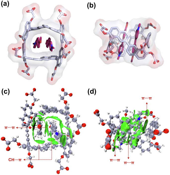 Fig. 5: Calculated energy-minimized conformations of R-C[4]B@2G5 homoternary complex.
