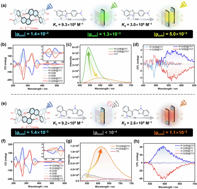 Fig. 7: Schematic illustration and characterization of the photophysical properties of the host-guest complexes in PBS buffer solution.