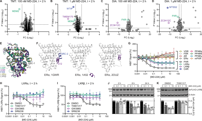 Fig. 4: MD-224 induces degradation of additional NRs.
