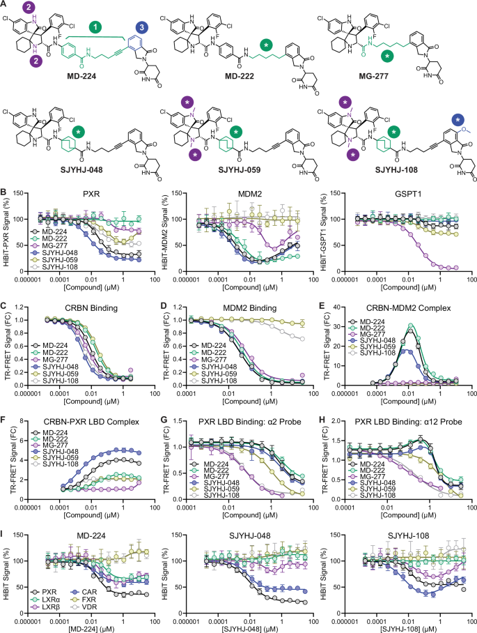 Fig. 5: Rational design of NR-selective degraders.