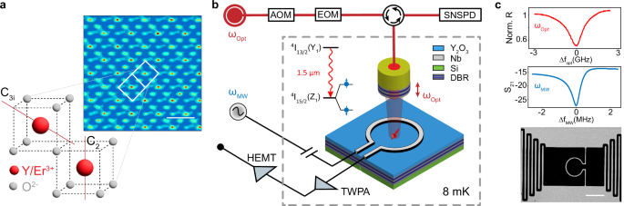 Fig. 1: Schematic of the Er3+ qubit device and experiment setup.