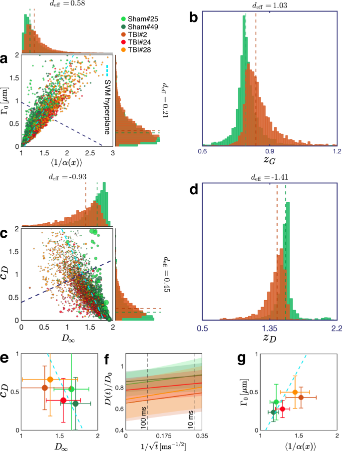Fig. 3: Effect of chronic TBI on axon morphology and D(t).