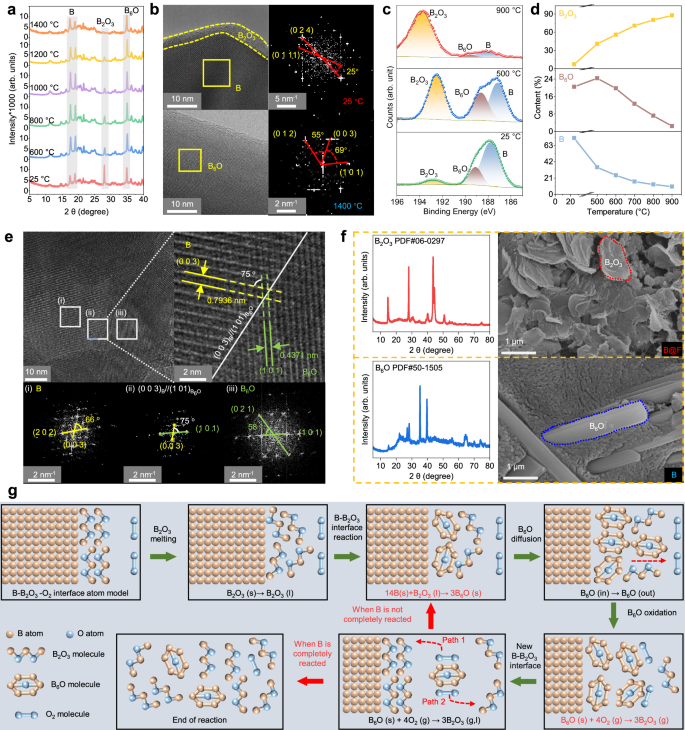 Fig. 2: The structure and component of boron after calcination in different conditions.