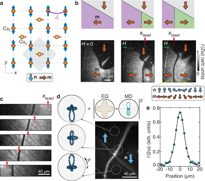 Fig. 1: Creation and positioning of wide antiphase Néel DWs.