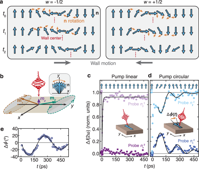 Fig. 3: Mechanism of light-driven DWs.