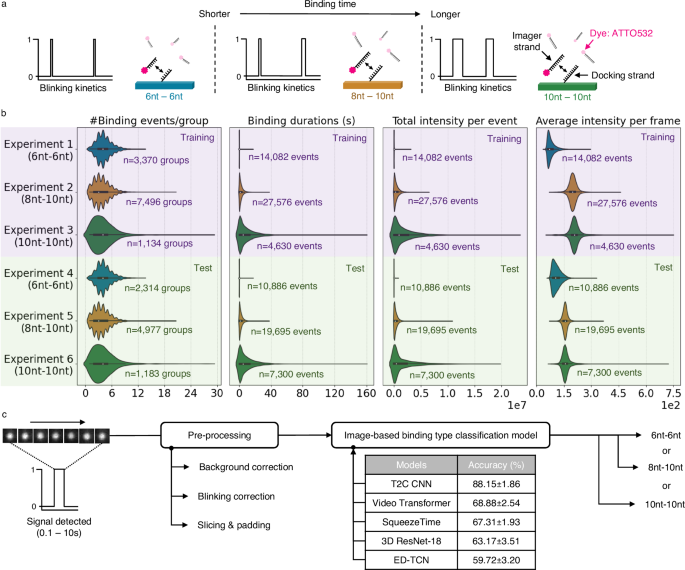 Fig. 5: Multi-class data, workflow, and results.