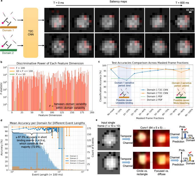 Fig. 6: Interpretations of the temporal-to-context convolutional neural network (T2C CNN).