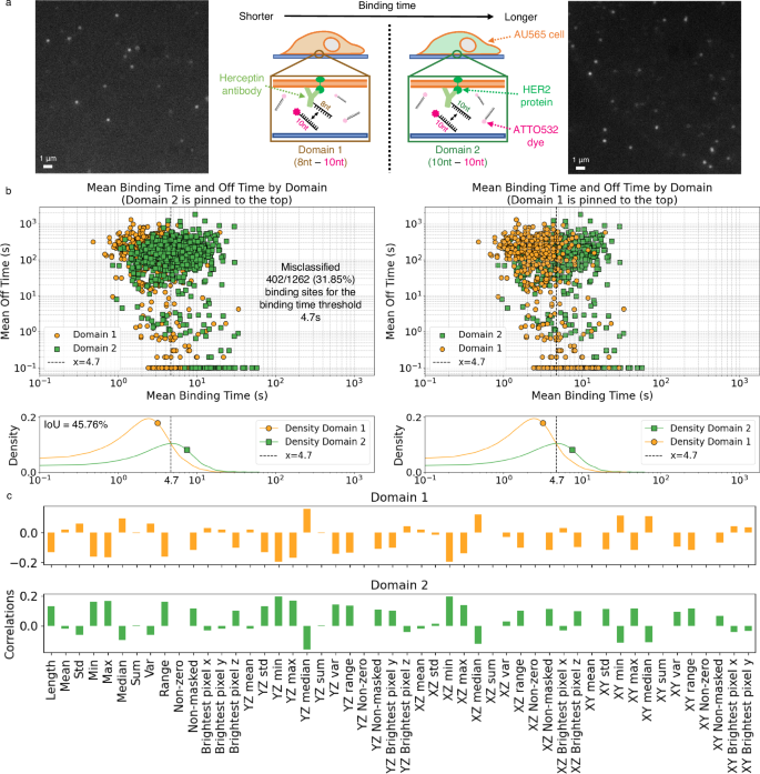 Fig. 9: Cell experimental settings and data analysis.