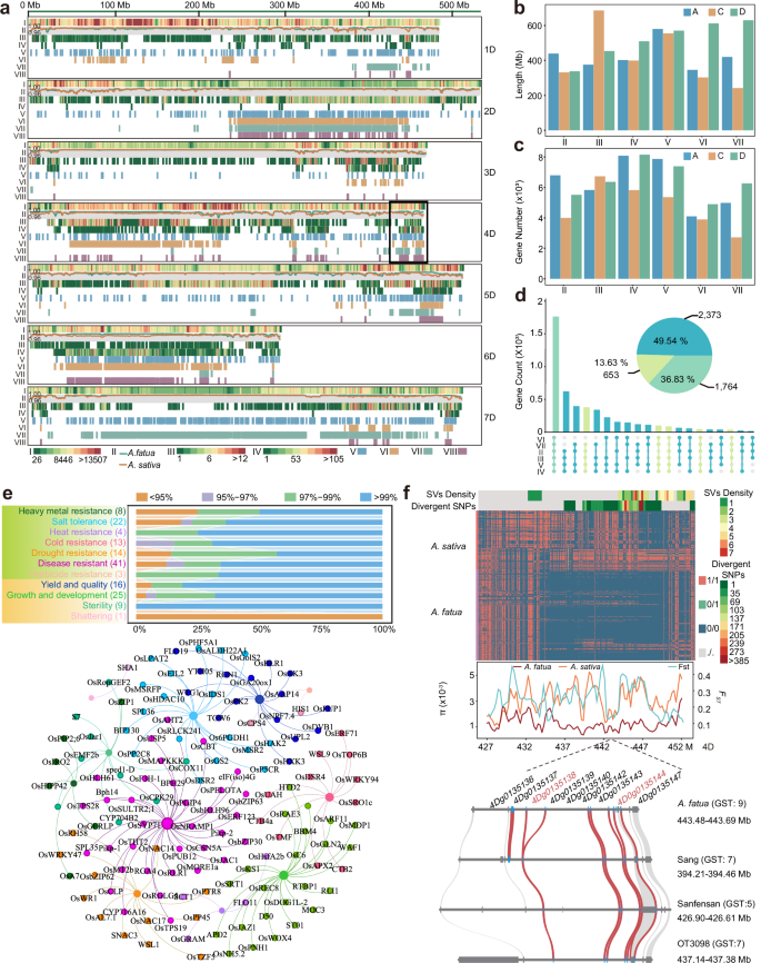 Fig. 4: Genome-wide scan for regions of genetic divergence between A. fatua and A. sativa.