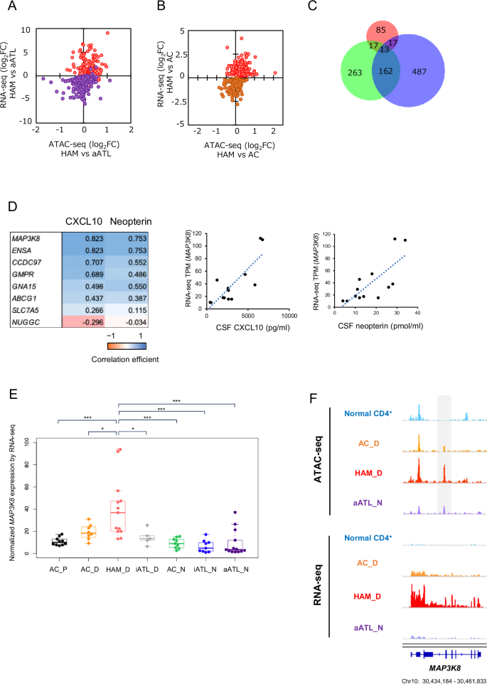 Fig. 2: Identification of inflammatory genes within HAM-characteristic open chromatin regions.