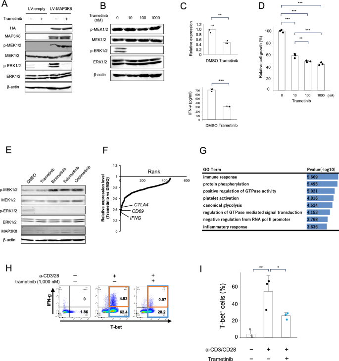 Fig. 4: The efficacy of MEK inhibitors on Jurkat cells overexpressing MAP3K8, HCT-4 cells derived from a patient with HAM, and activated CD4+ T cells.