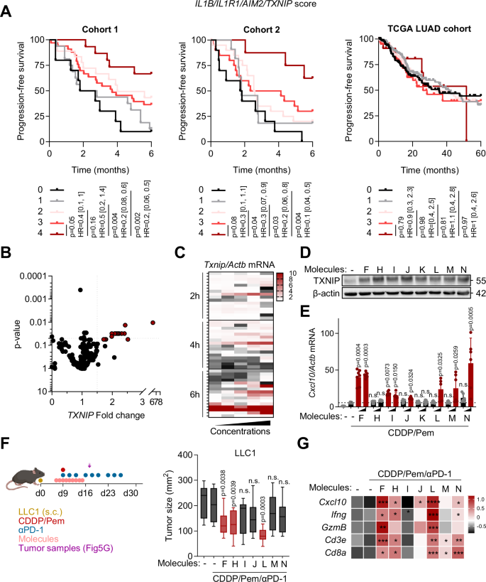 Fig. 5: TXNIP induction triggers chemo-immunotherapy efficacy.