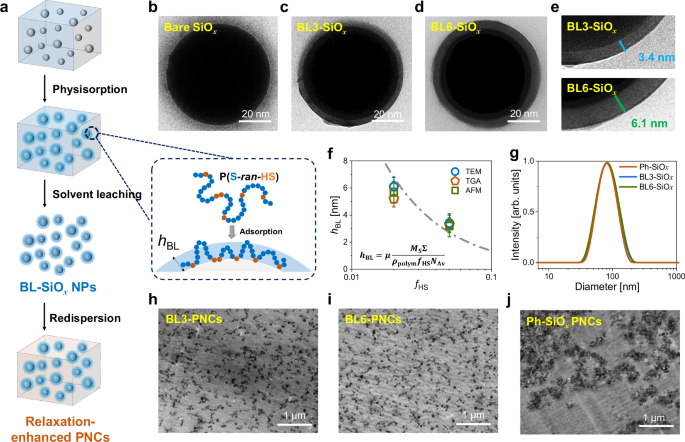 Fig. 2: Preparation and characterization of bound polymer loops atop NPs and the relaxation-enhanced PNCs.