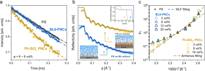 Fig. 3: Dynamics of the relaxation-enhanced PNCs.