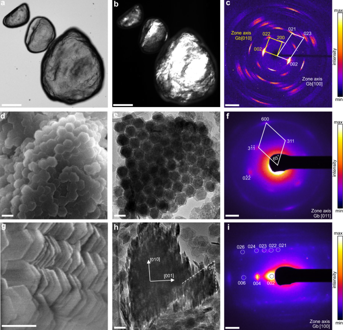 Fig. 1: SEM and TEM characterization of the gibbsite mesocrystal precipitated in DI water.