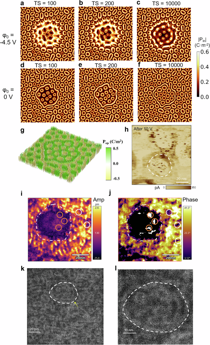 Fig. 2: Formation of polar skyrmion bag from skyrmion under applied potential with a charged tip.