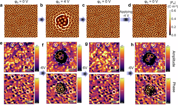 Fig. 3: Erasing and recovering the skyrmion bag state.
