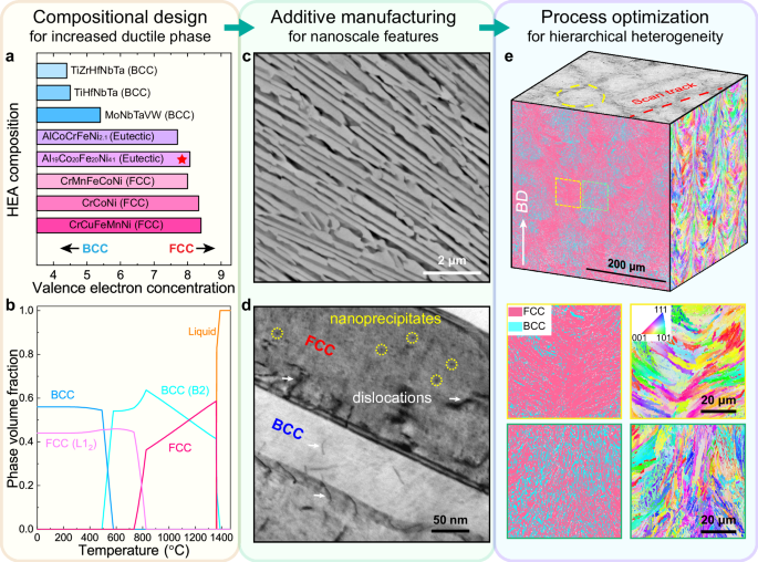 Fig. 1: Microstructure design for the Al19Co20Fe20Ni41 eutectic high-entropy alloy (EHEA) produced by laser powder bed fusion (L-PBF).