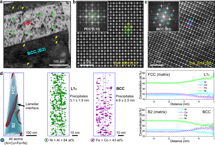 Fig. 3: Coherent nanoprecipitates within the lamellar structures of the as-printed EHEA.