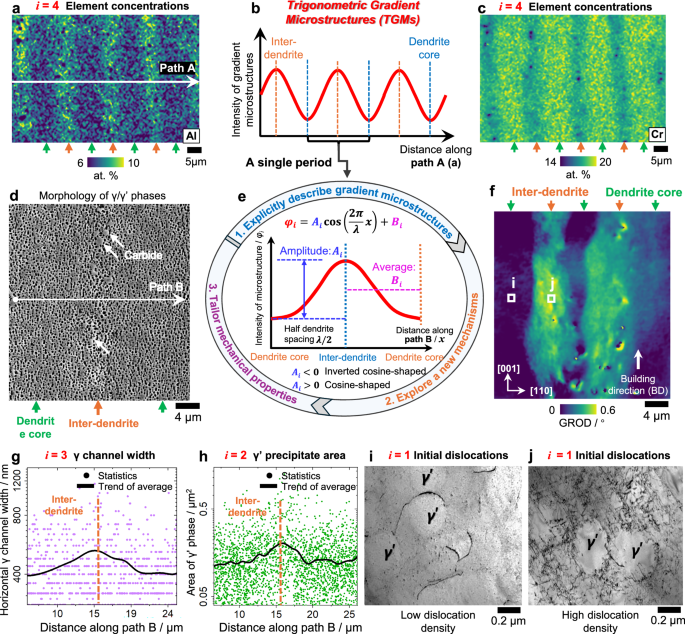 Fig. 1: Periodic TGMs in dendrite-scale of AM SX.