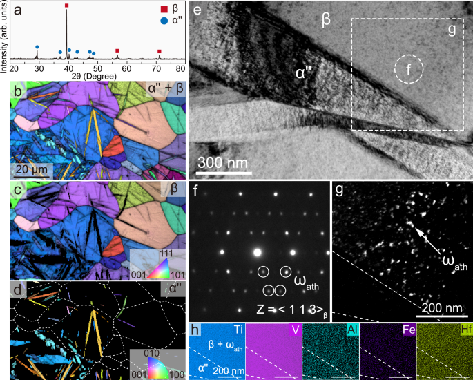 Fig. 1: Microstructure of the TiV-based alloy.