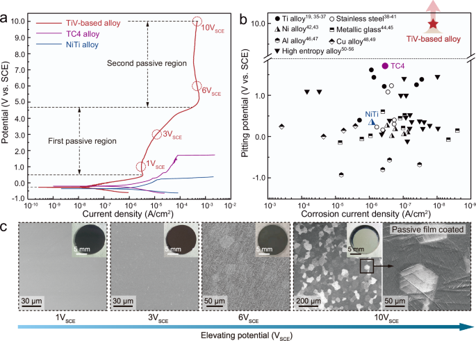 Fig. 2: Electrochemical performance of the TiV-based alloy.