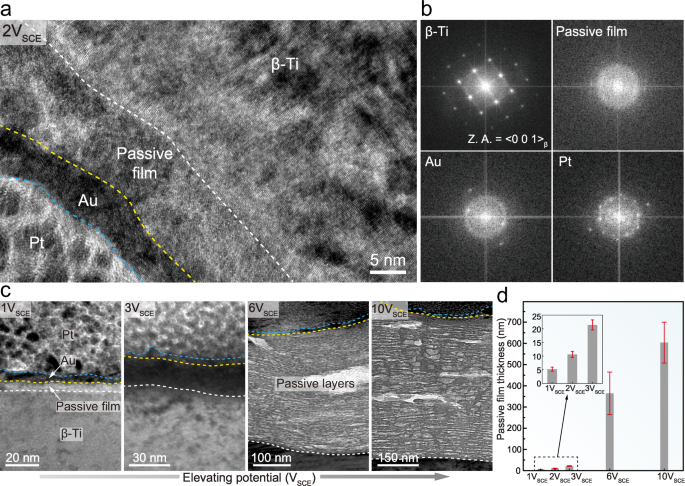 Fig. 3: Evolution of the passive film during potentiodynamic polarization.