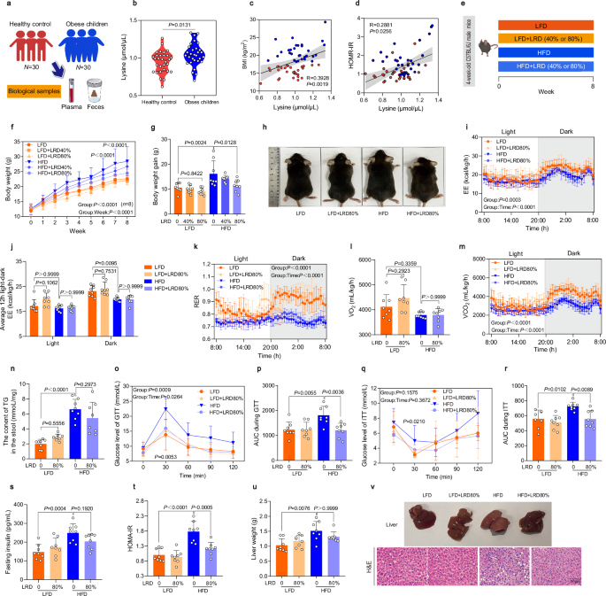 Fig. 1: The LRD demonstrates significant efficacy against obesity in young mice fed with HFD.