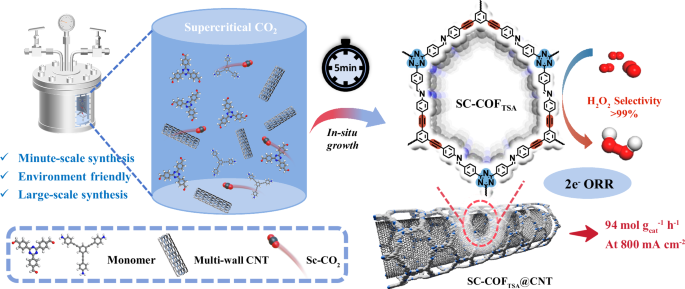 Fig. 1: Schematic illustration of the supercritical CO2-assisted solvothermal synthesis of ORR electrocatalysts.