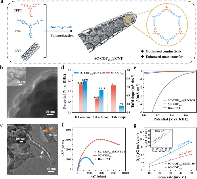 Fig. 5: Structural and electrochemical characterization of SC-COF@CNT materials.