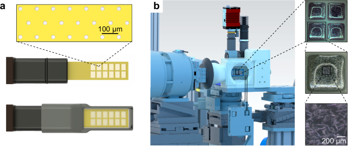 Fig. 1: Fixed-target serial crystallography for RT X-ray screening.