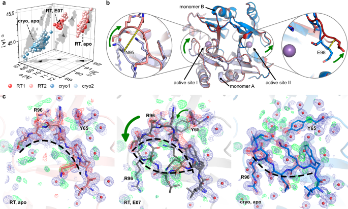 Fig. 3: RT crystal structure reveals changes in active site of FosAKP.