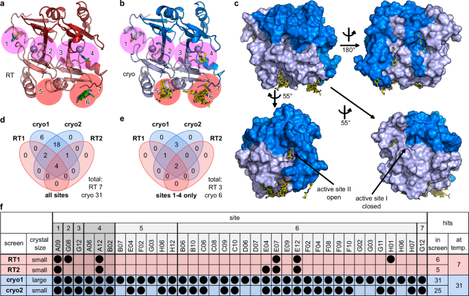 Fig. 4: X-ray fragment screen at RT vs cryo reveals different amounts of bound ligands.