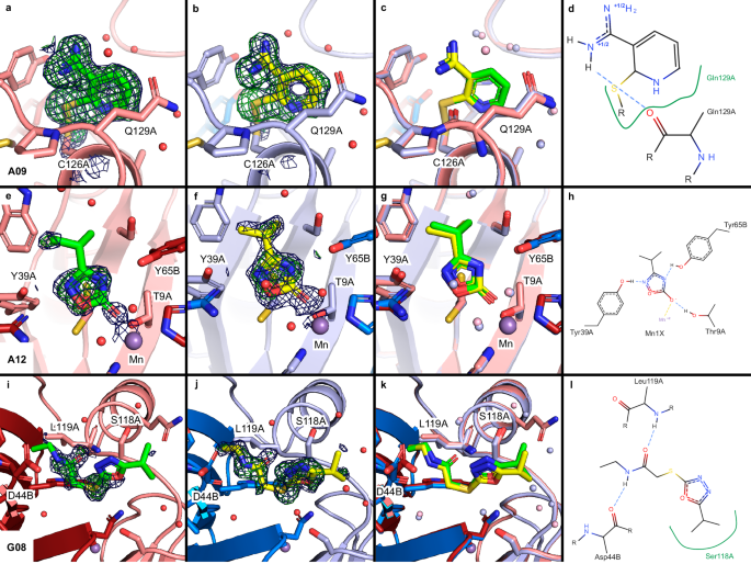 Fig. 5: Fragments identified through RT and cryogenic data collection binding at or near the active site of FosAKP.
